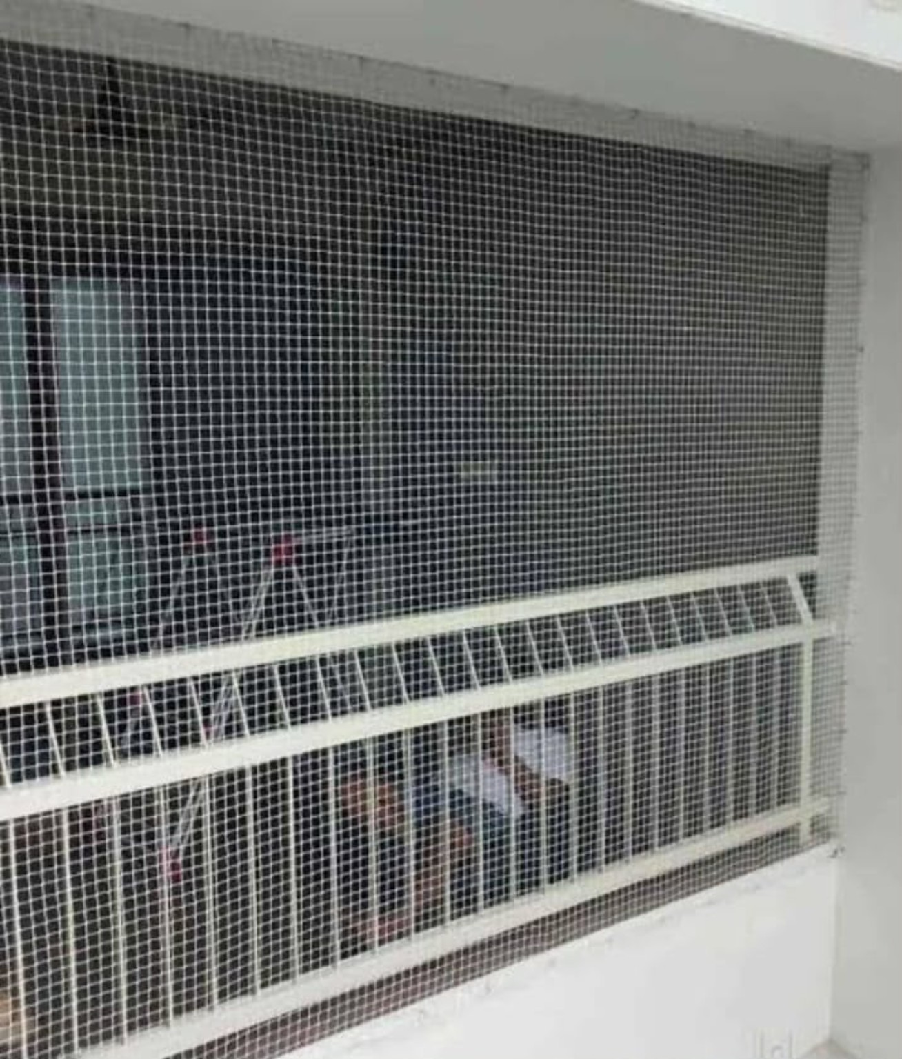 Window pigeon net